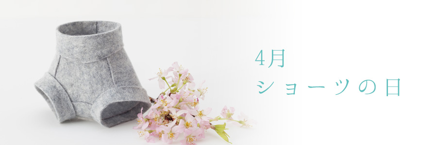 4月超立体ショーツ