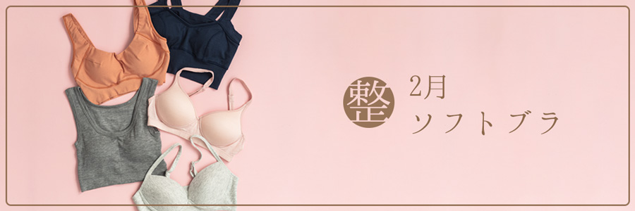 2月ソフトブラ