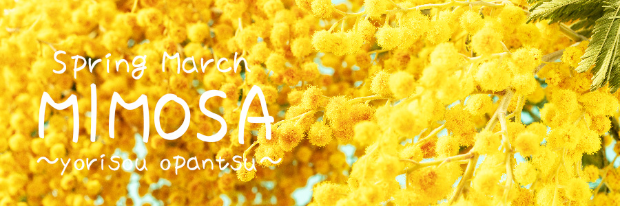 3月春の花ミモザ